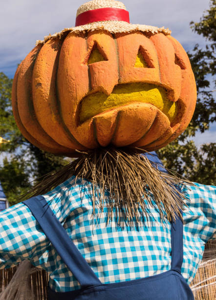 istock pumpkins at the park 864472032