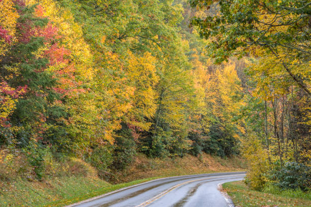 istock Autumn Country Road 864473040
