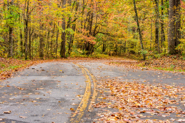 istock Autumn Country Road 864474304