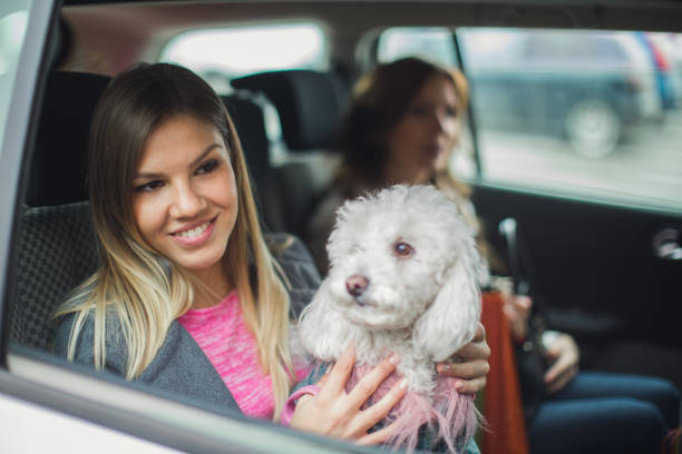 istock Riding with pet in car 864474676