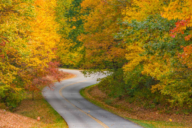 istock Autumn Country Road 864475272