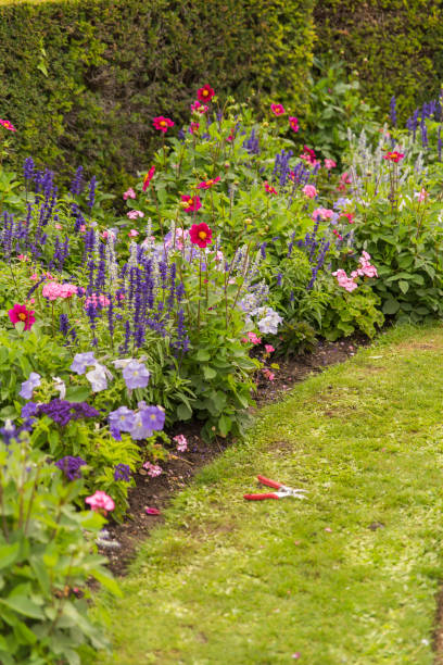 istock Paris, Luxembourg garden, public park 864475574