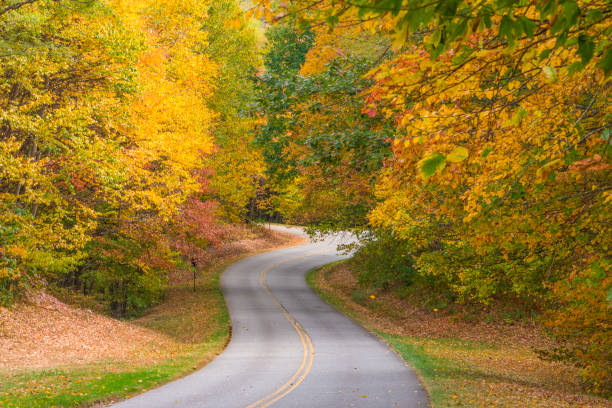 istock Autumn Country Road 864476514