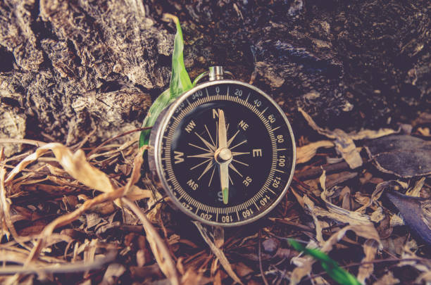 istock Antique brass compass over wooden background (vintage) 864476734