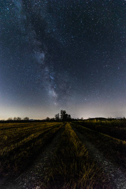 istock View of the milky way over a meadow and distant trees 864477268