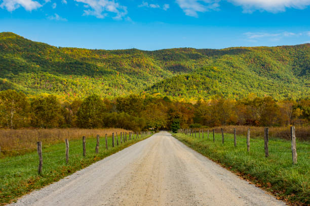 istock Autumn Country Road 864477756