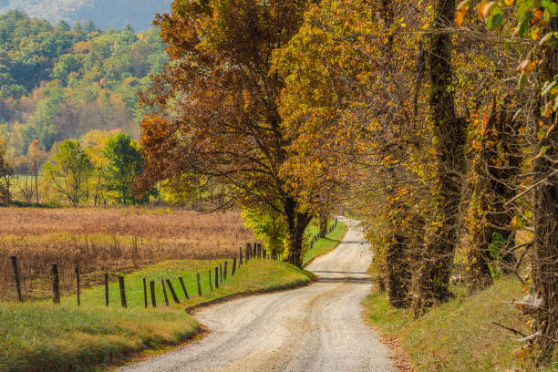 istock Autumn Country Road 864478710