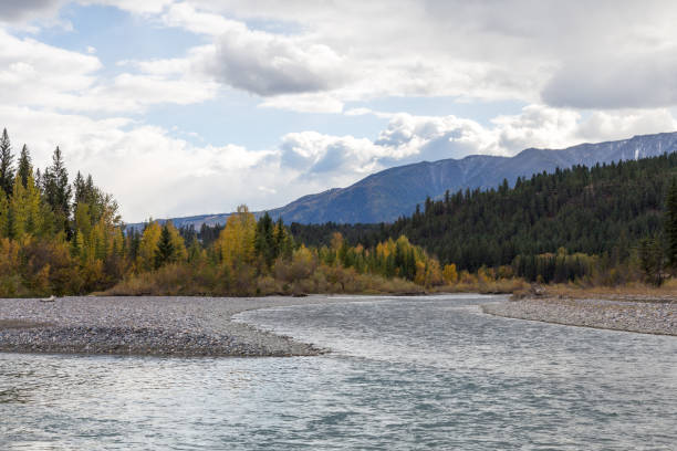 istock Toby Creek near Invermere BC. 864482998