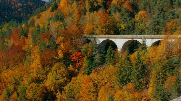istock Cars moving on arch bridge through autumn forest 864484346