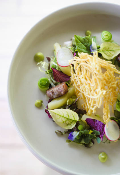 Healthy Dish with Salad