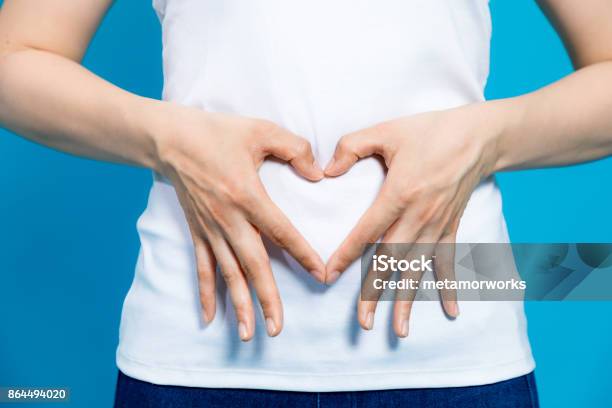 Photo libre de droit de Jeune Femme Qui Fait Une Forme De Coeur Par Les Mains Sur Le Ventre banque d'images et plus d'images libres de droit de Abdomen