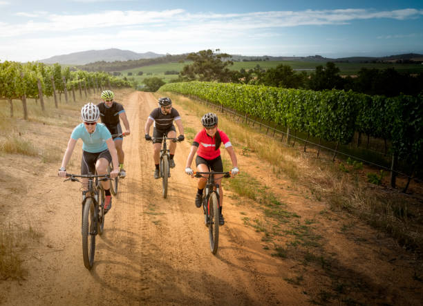 Determined friends riding bicycles on dirt road