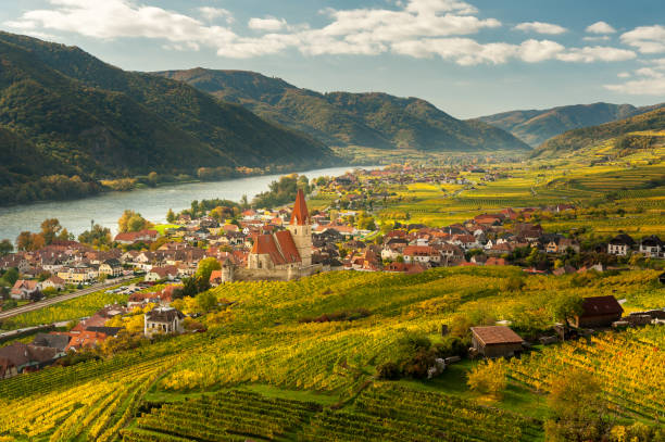 austria de weissenkirchen wachau en hojas de colores otoñales y viñedos en un día soleado - danube valley danube river vineyard austria fotografías e imágenes de stock