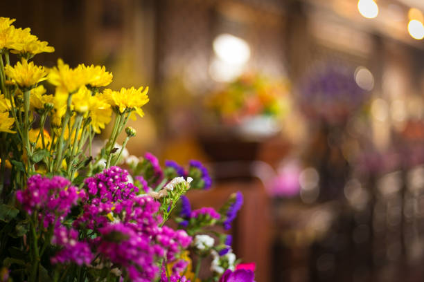 Colorful flowers - Blur background.