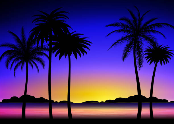 熱帯の夕日にヤシの木のシルエット - scenics silhouette beach sun点のイラスト素材／クリップアート素材／マンガ素材／アイコン素材