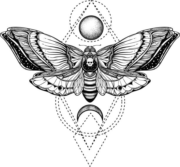 czarno-biały motyl martwy na świętej geometrii ilustracji wektorowej - moth stock illustrations