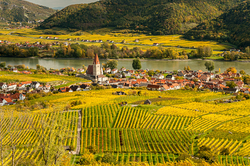 Weissenkirchen Wachau Austria in autumn colored leaves and vineyards on a sunny day