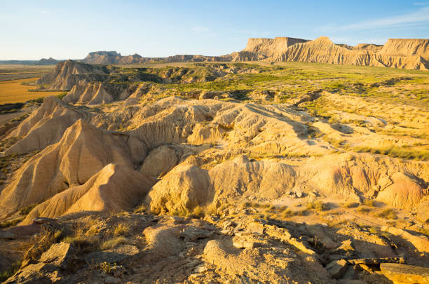 istock desert landscapein summer morning 864508904