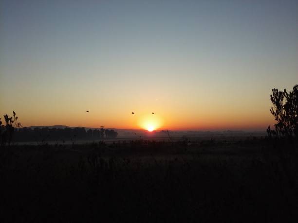 Sunrise Landscape