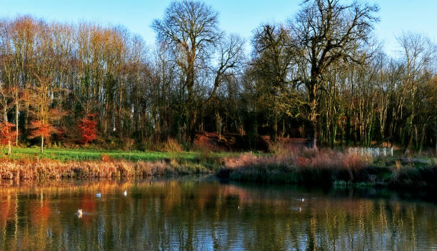 istock Reflections at Lydiard Park 864517750