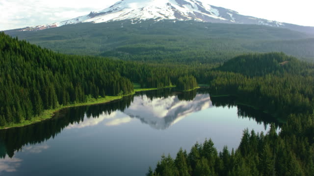 AERIAL Calm surface of a lake in the forest reflecting the beautiful Mount Hood in the background
