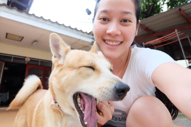 istock Asian woman selfie with dog 864528566