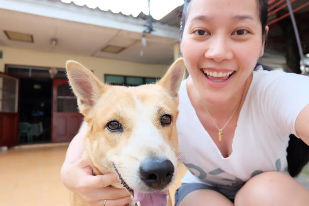 istock Asian woman selfie with dog 864528568