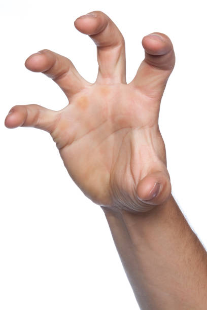 istock gesture grabbing and appropriation made hand 864531850