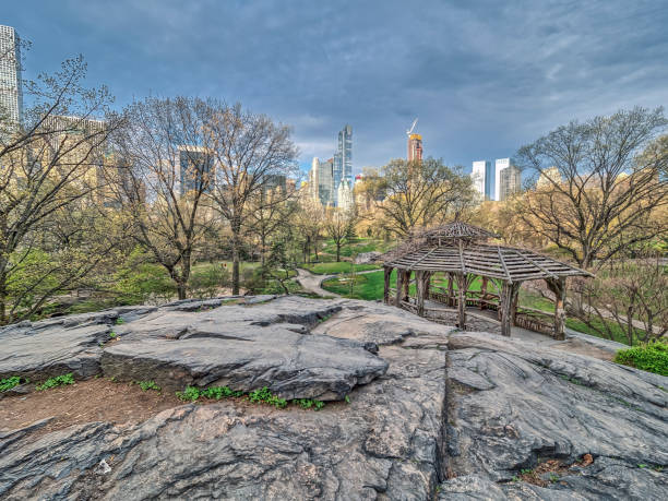 istock Central Park, New York City spring 864546408