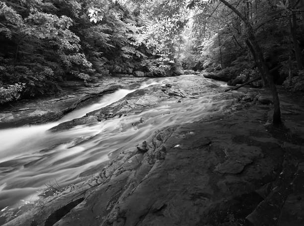 istock A mountain stream flowing through the woods 864549278