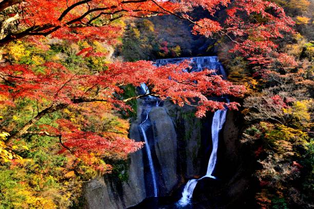 istock Fukuroda Waterfalls in Autumn, Daigo-machi, Ibaragi Prefecture 864549974