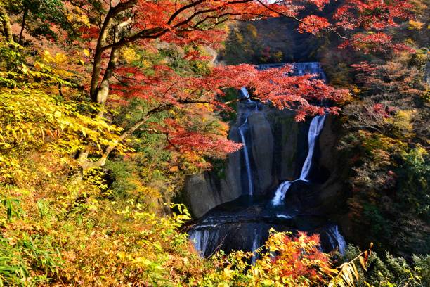 istock Fukuroda Waterfalls in Autumn, Daigo-machi, Ibaragi Prefecture 864550474