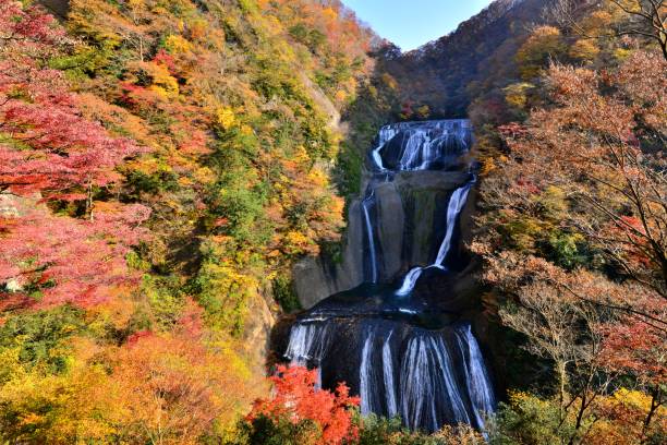 fukuroda cascades en automne, daigo-machi, préfecture d’ibaragi - japanese maple leaf water japan photos et images de collection