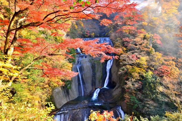 istock Fukuroda Waterfalls in Autumn, Daigo-machi, Ibaragi Prefecture 864551564