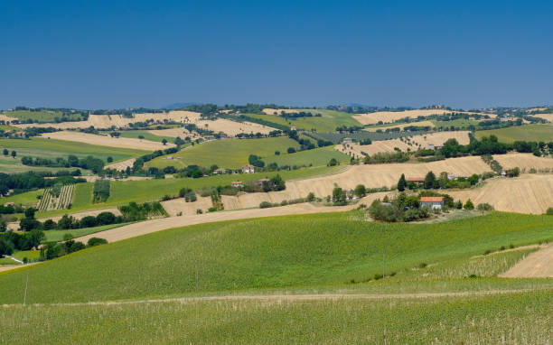 Summer landscape in Marches (Italy) near Ostra