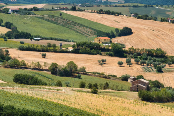istock Summer landscape in Marches (Italy) near Ostra 864552392