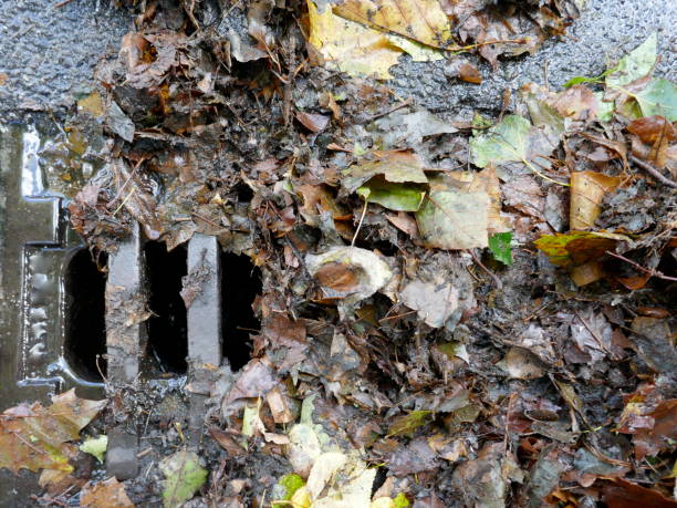 istock Obstructed sieve, wet leaves on the roadside 864556724