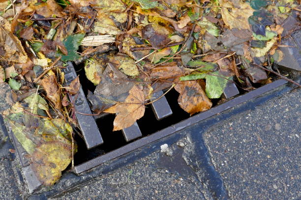 istock Obstructed sieve, wet leaves on the roadside 864557322