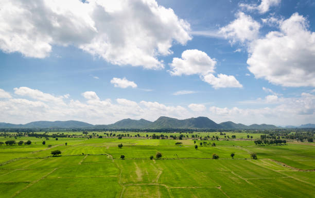 istock field on a background of the blue sky 864558676