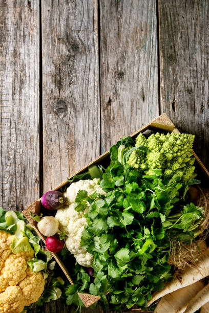 istock Variety of cauliflower and radish 864572710