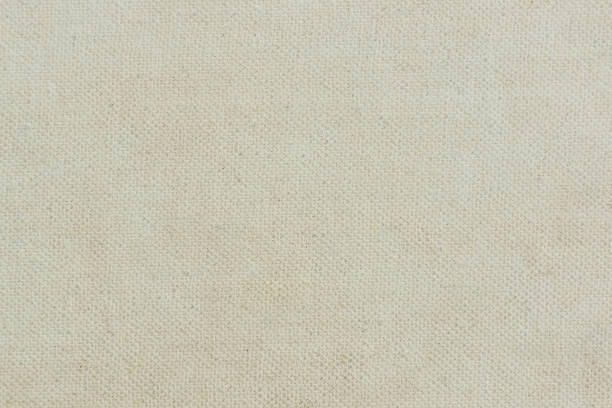 istock the texture of the book cover 864577056