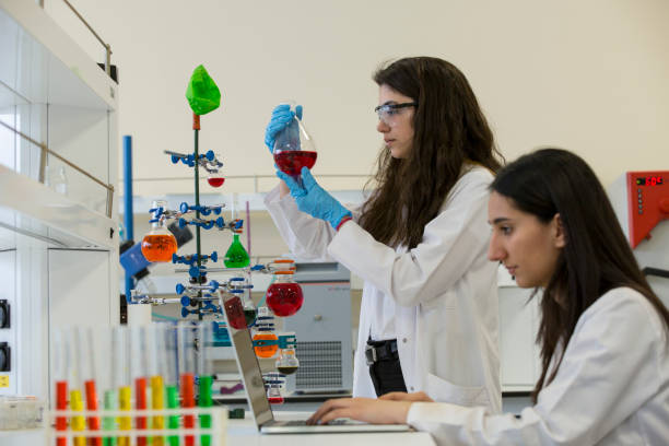 istock Working on laptop in the chemistry laboratory 864577210
