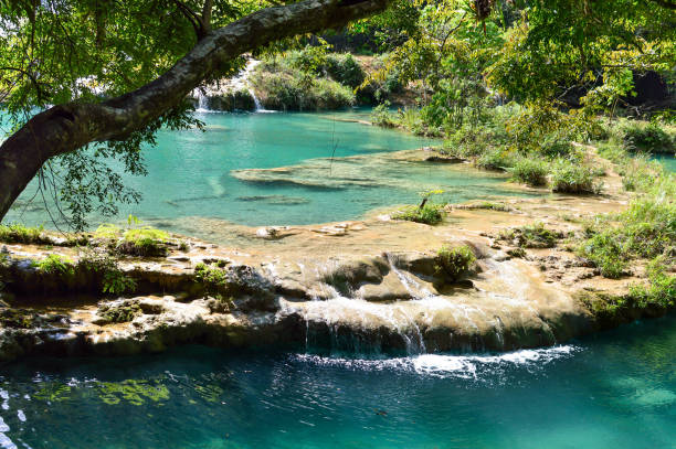 istock Turquoise pools and limestone bridges surrounded by the jungle in Semuc Champey, Guatemala 864577610