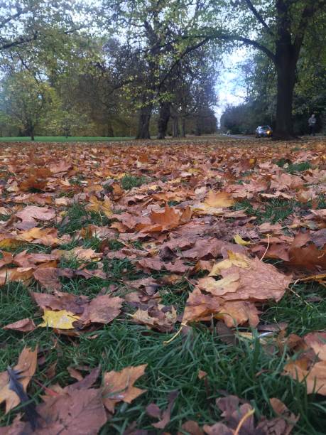 istock Autumn in London 864579738