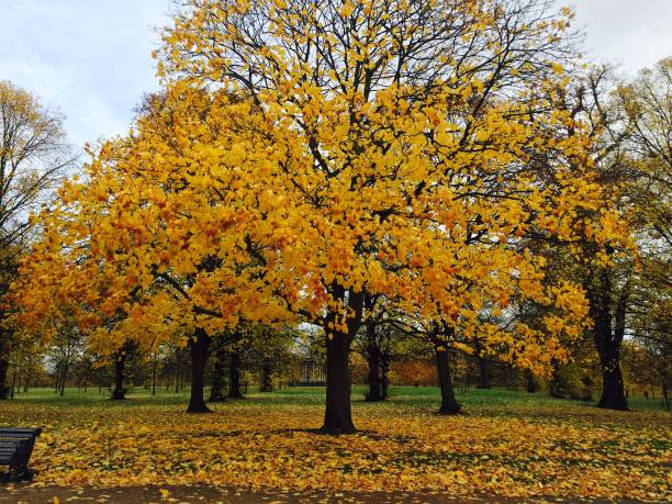istock Autumn in London 864579782