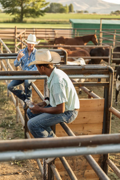 istock Rodeo Cowboys Early Morning 864580002