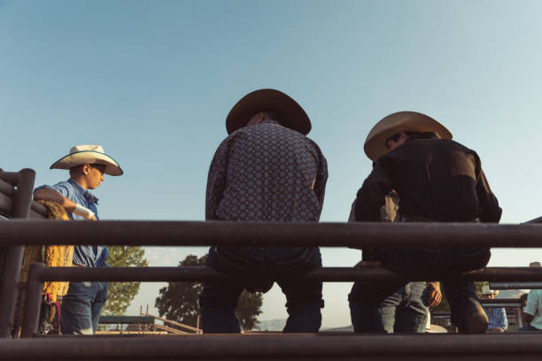 istock Rodeo Cowboys Early Morning 864580004