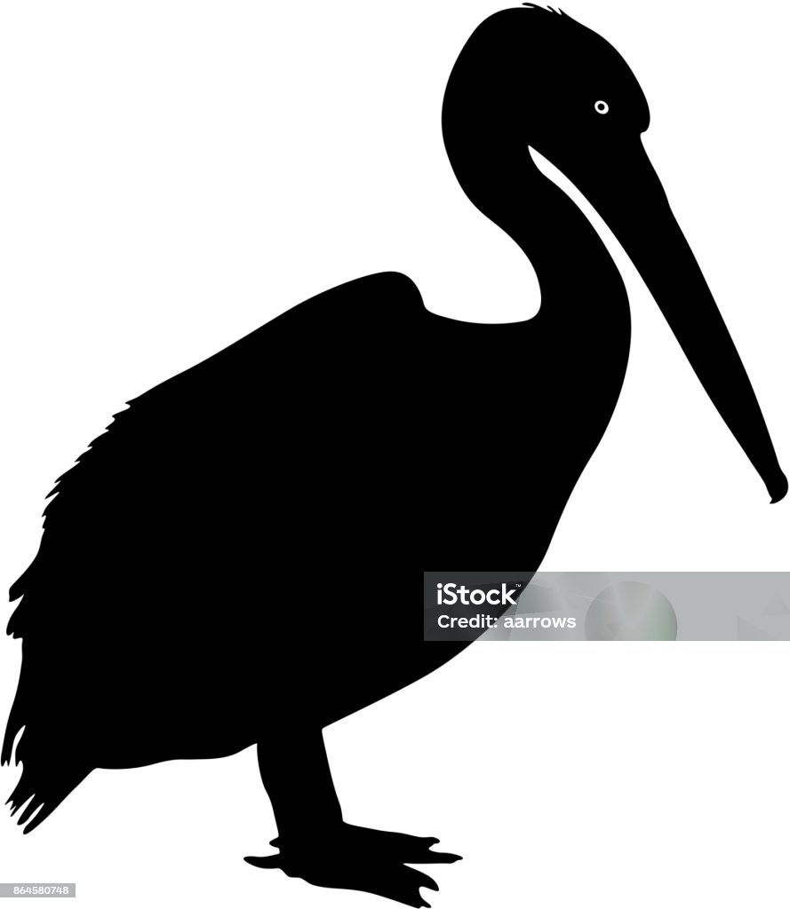 Silhouette bird pelican on a white background Silhouette bird pelican on a white background. Pelican stock vector