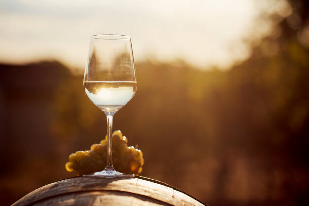 istock Glass of white wine with grape 864582146