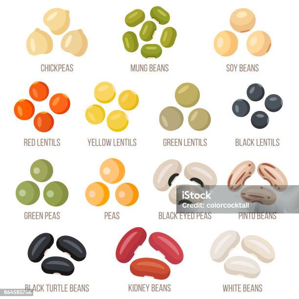 콩 콩-콩과에 대한 스톡 벡터 아트 및 기타 이미지 - 콩-콩과, 병아리 콩, 콩과-콩목